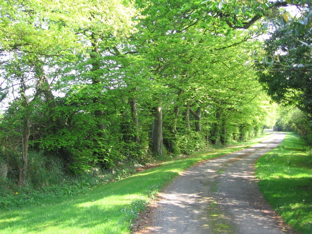 Ballinclea House Bed And Breakfast Brittas Bay Εξωτερικό φωτογραφία